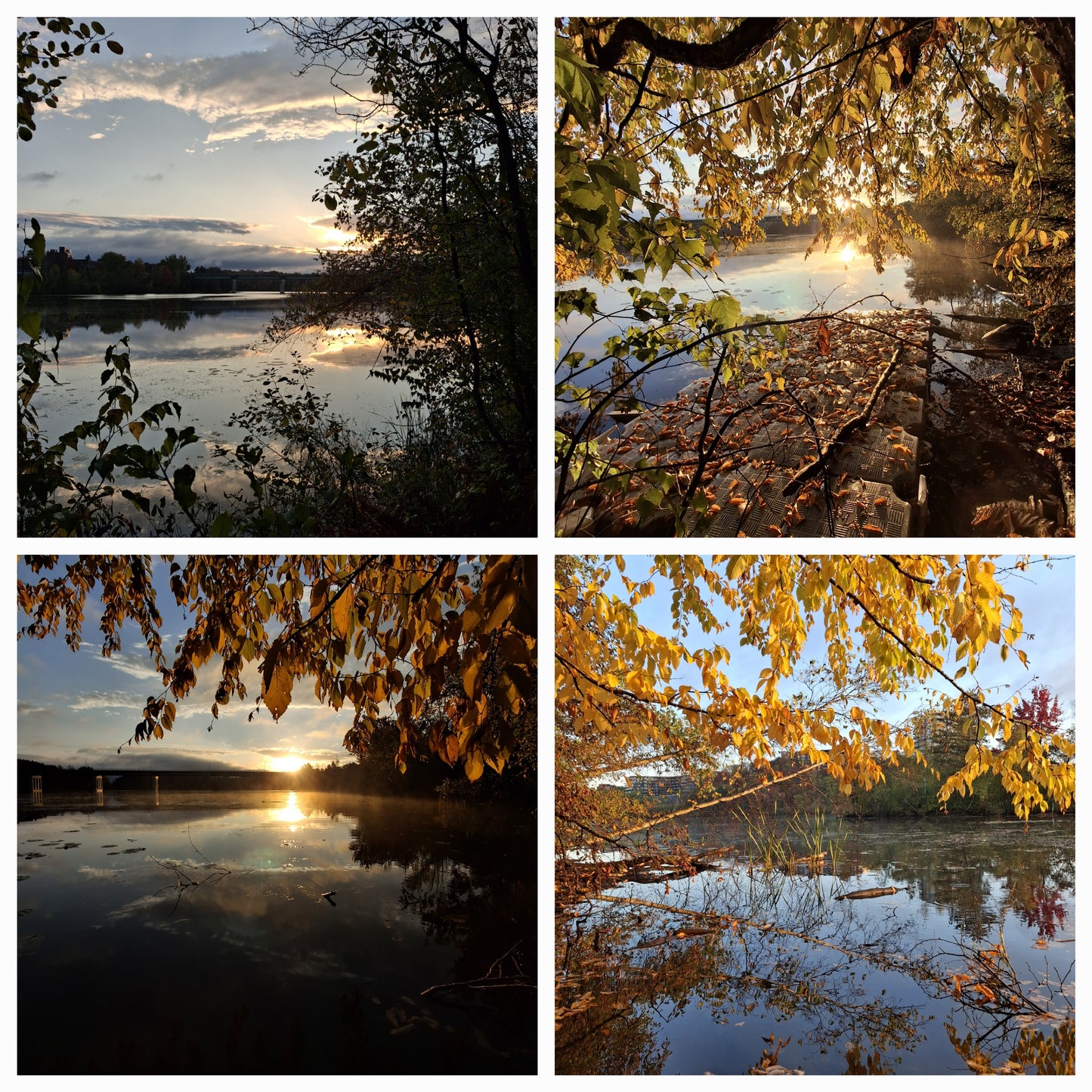 2024-10-05 07:13 (Vue G1)