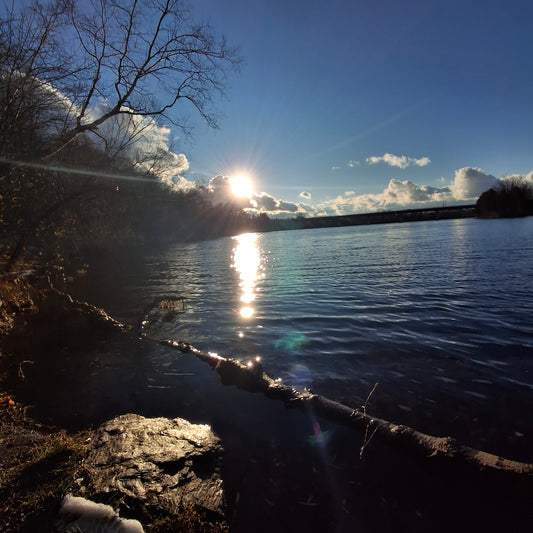 2025-11-22 15:11 (Vue 1)