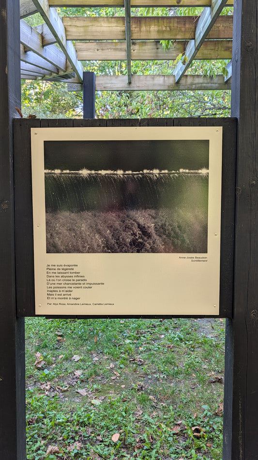Scintillement - Anne-Josee Beaudoin
