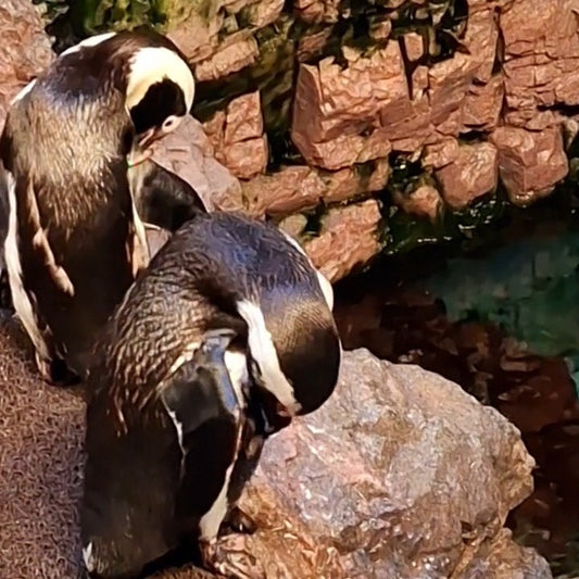 Boston 2025 (Jour 1)