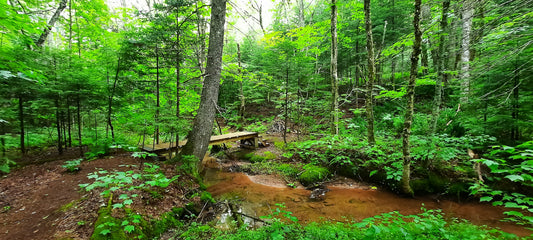 Old Skye Brook - North Wiltshire Airbnb Pei