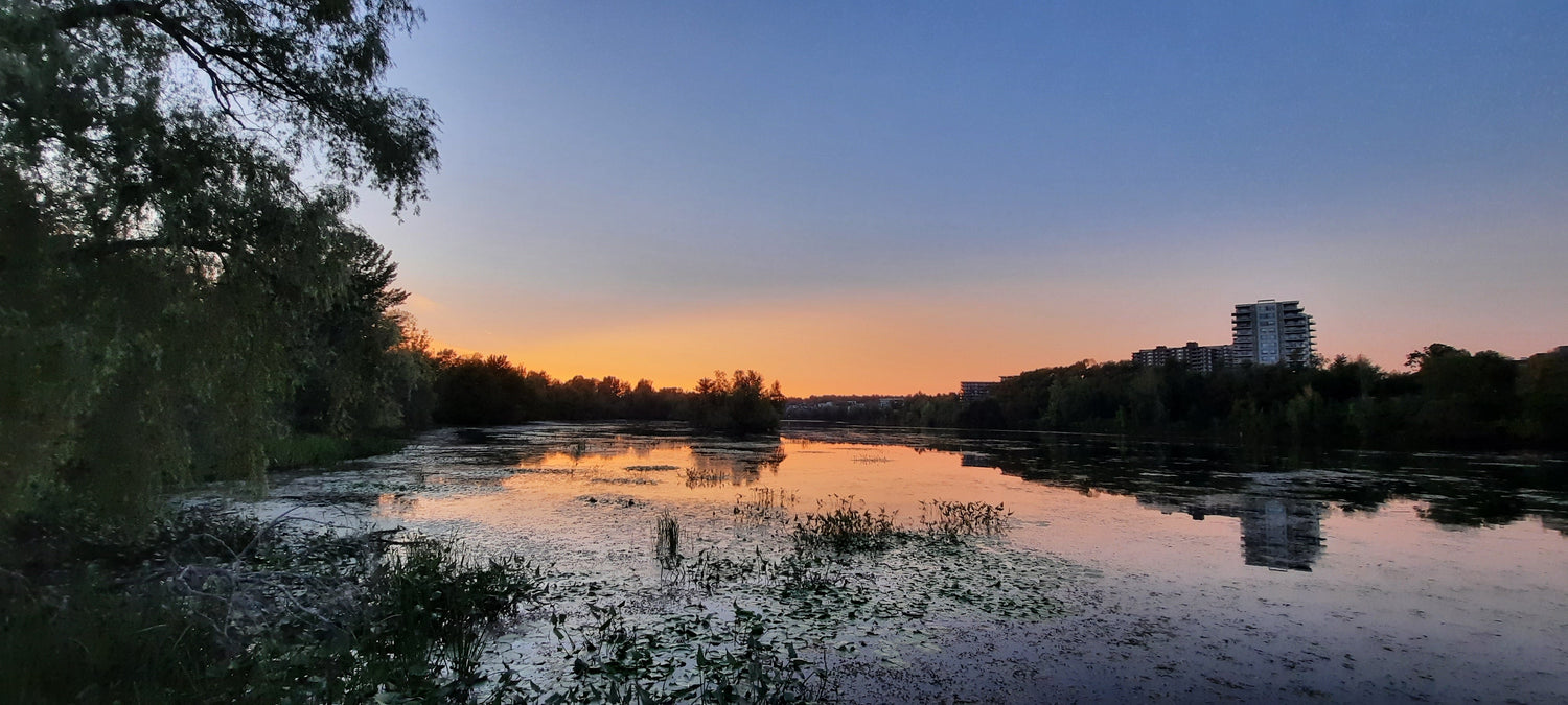 2022-09-10 19:22 Crépuscule (Vue T2)