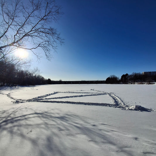2026-01-24 (Vue 1) Maison