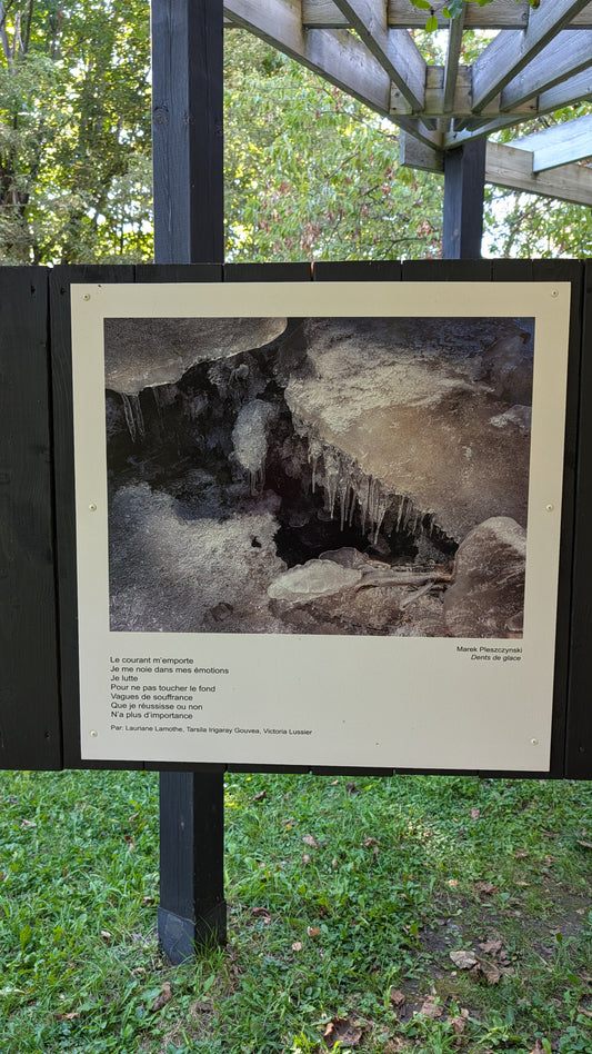 Dents de glace - Marek Plesczynski