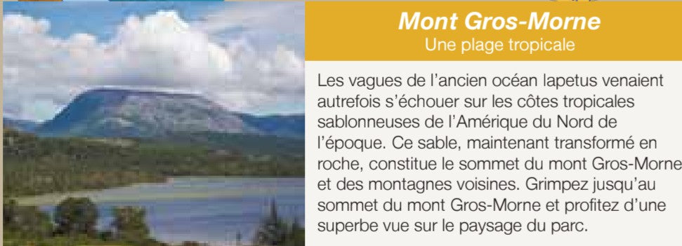 Gros Morne informations